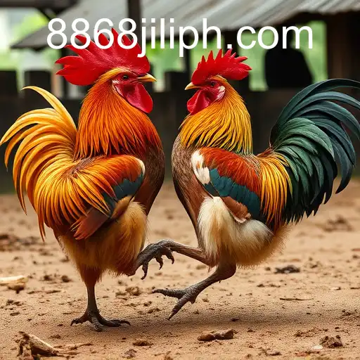 Exploring the World of Sabong Games on 8868jili.com